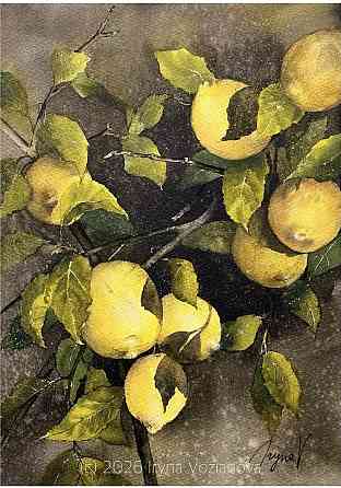 Workshop “Luminous Lemon Branch” Amsterdam