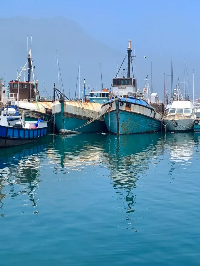 The Real Cape Town: Winelands, Whales & the Big Five Cape Town - photo 1