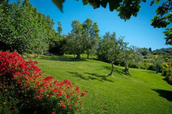Pause & Renew: A Journey Back to You — in the Heart of Italy Perugia