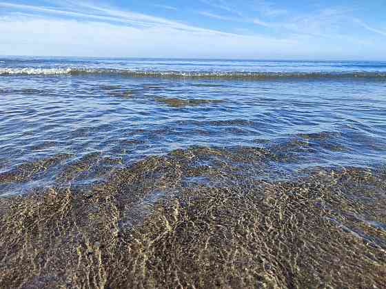 Spring Awakening: Yoga & Lino Printing Retreat in Coastal Mid Wales Aberystwyth