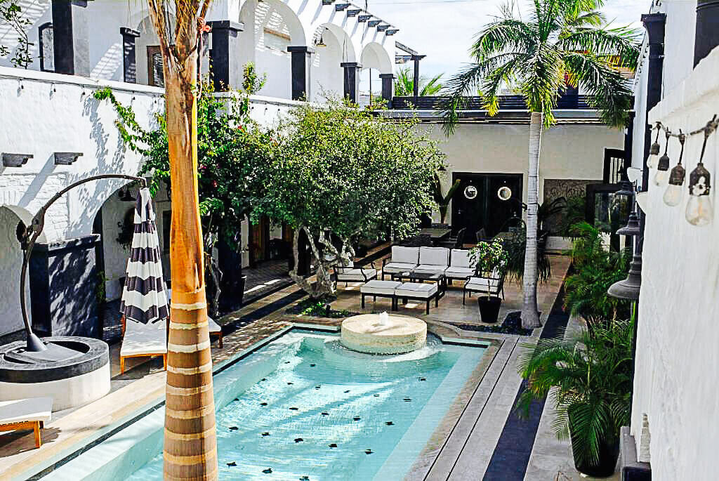 Watercolor & Wanderlust: A Destination Art Retreat in La Paz, Mexico La Paz - photo 3
