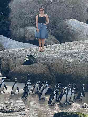 The Real Cape Town: Winelands, Penguins & the Big Five Cape Town