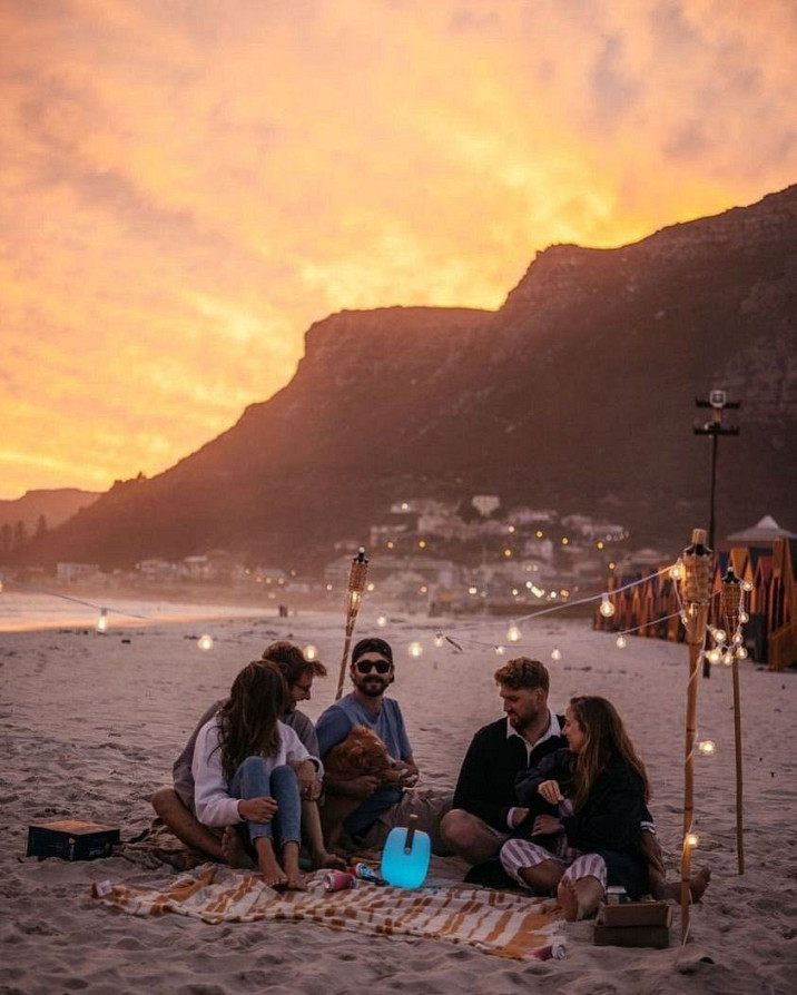 The Real Cape Town: Winelands, Penguins & the Big Five Cape Town - photo 7