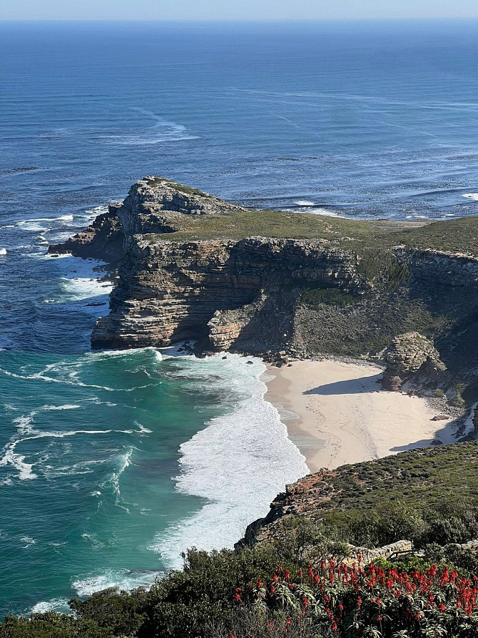 The Real Cape Town: Winelands, Penguins & the Big Five Cape Town - photo 6