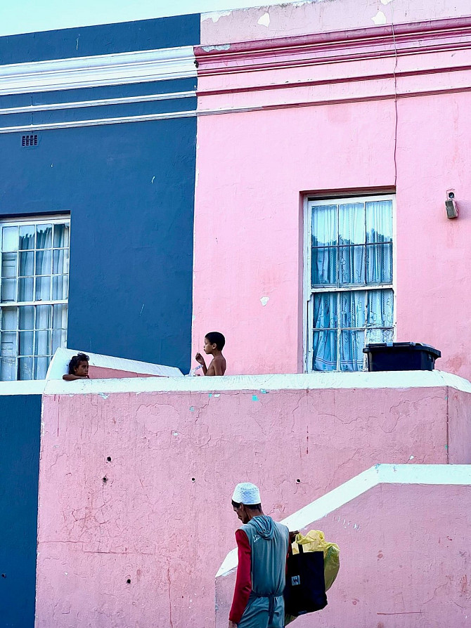 The Real Cape Town: Winelands, Penguins & the Big Five Cape Town - photo 4