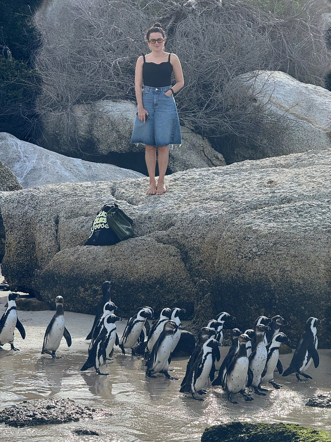 The Real Cape Town: Winelands, Penguins & the Big Five Cape Town - photo 3