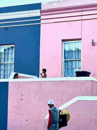 The Real Cape Town: Winelands, Penguins & the Big Five Cape Town