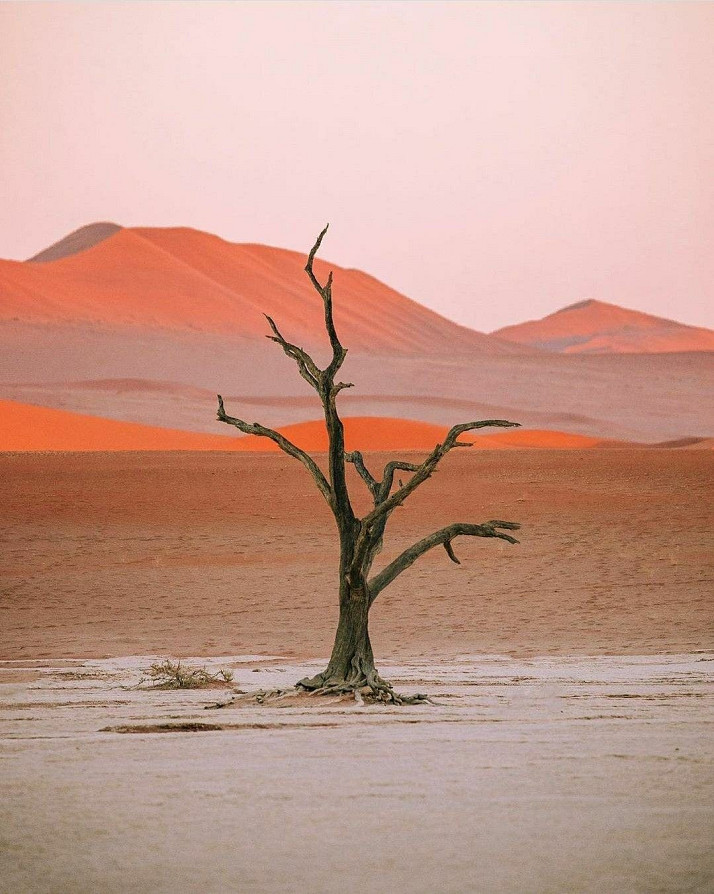 Classic Namibia: Red Dunes, the Atlantic & Giraffes Windhoek - photo 2