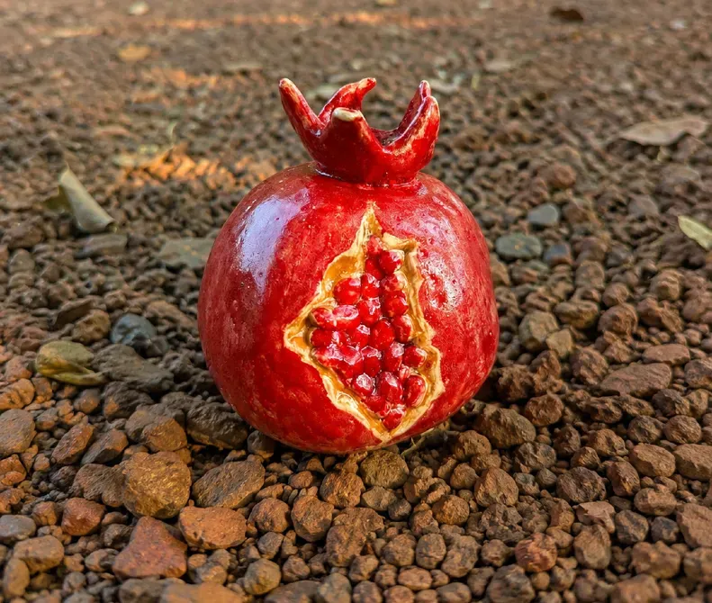 Christmas & New Year Art Residency in Goa: Pottery, Yoga and Jungle Life Madgaon - photo 8
